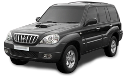 2D коврики EVA в салон и багажник  на Hyundai Terracan (2001-2007)