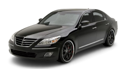 2D коврики EVA в салон  на Hyundai Genesis I (2008-2013)